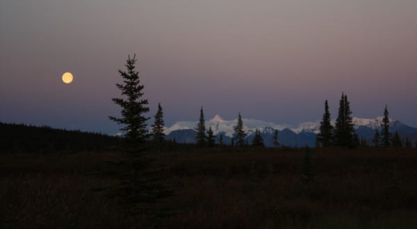 Harvest Moon