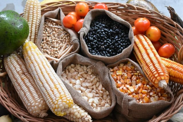 1st harvest grains